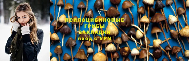 Галлюциногенные грибы MAGIC MUSHROOMS  Белоозёрский 